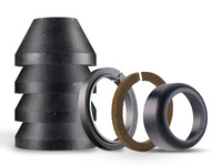 Oil Production Seals