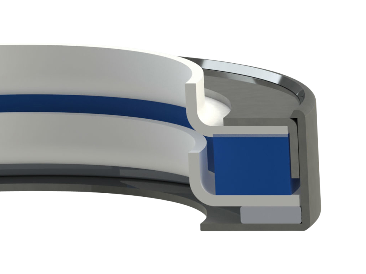 Garlock KLOZURE® Model 61DT Oil Seal, FDA Compliant GYLON, 316SS, 1.500 in Shaft, 2.500 in Bore, 0.438 in Width, Dual Tandem Lips