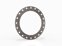 37735EN-F0600404 | GRAPH-LOCK® Style 3124/3126 Pipe Flange Gaskets ...